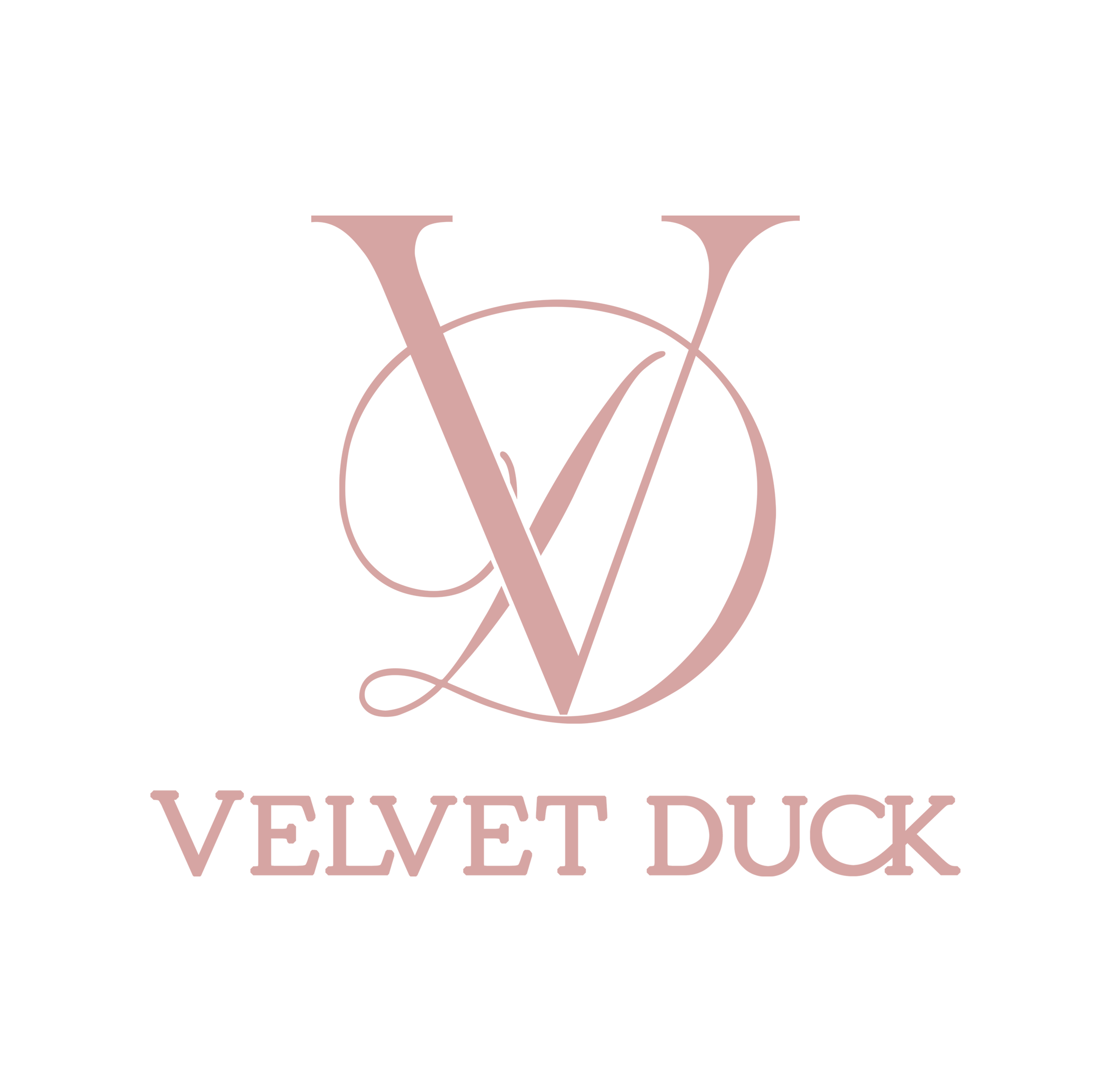 Velvet Duck